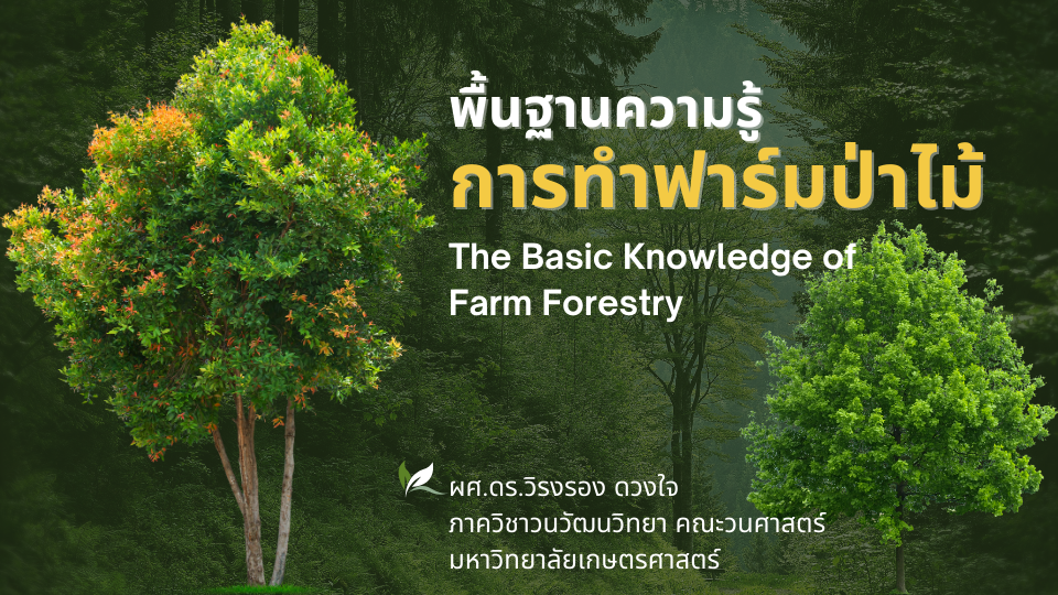 c0aede72c75b5f5cec0e5435e0e16049 c0aede72c75b5f5cec0e5435e0e16049